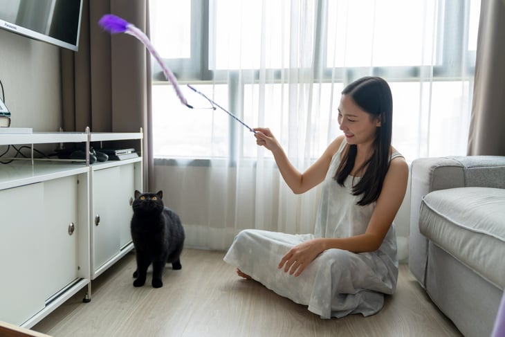 Woman using a cat wand toy to play with her black cat in her living room