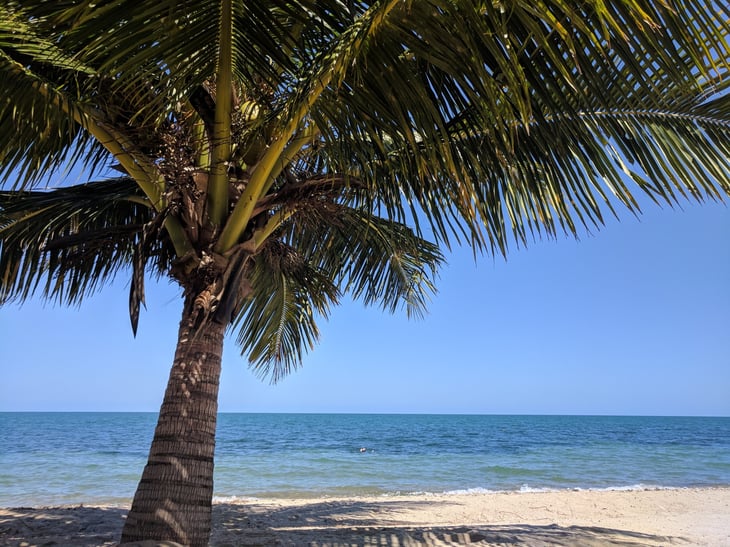 Beach in Hopkins, Belize