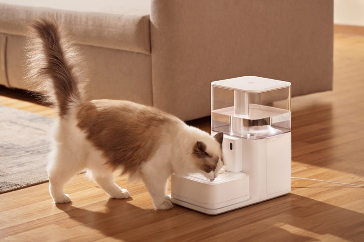 Cat drinking from a pet water fountain at home in the living room