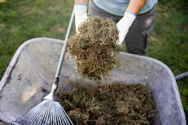 Hands holding grass clippings over a wheelbarrow.
