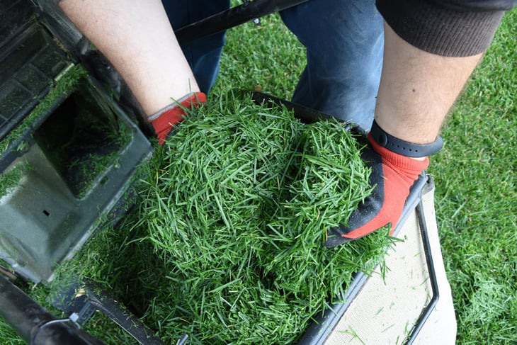 Mulching after lawn mowing