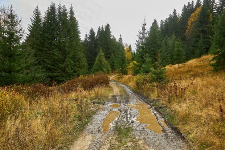 Country dirt road through the forest with large muddy puddles after rain
