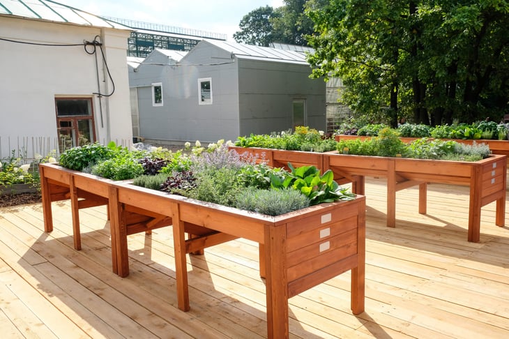 Outdoor planting table for lettuce and herb gardening