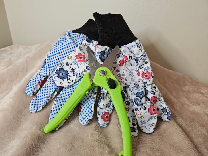 Gardening tools from Dollar Tree