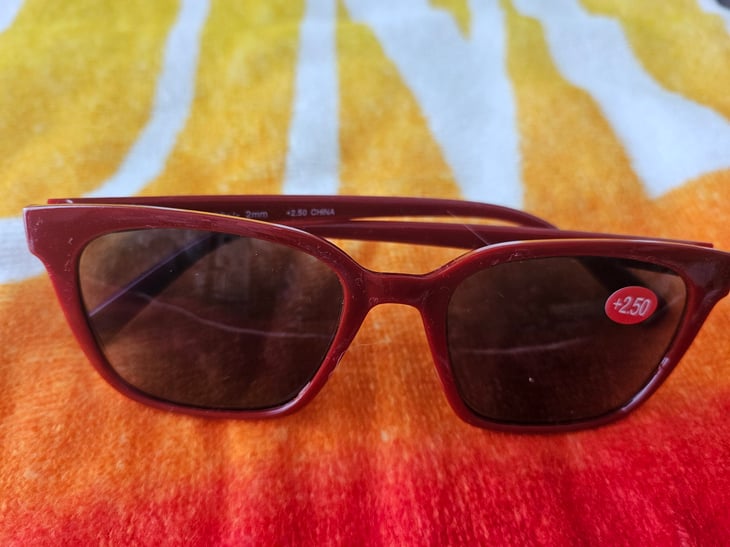 Reader sunglasses from Dollar Tree