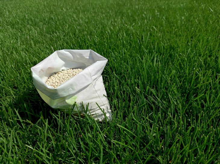 Mineral fertilizer granules used on grass lawns and gardens to maintain health and growth