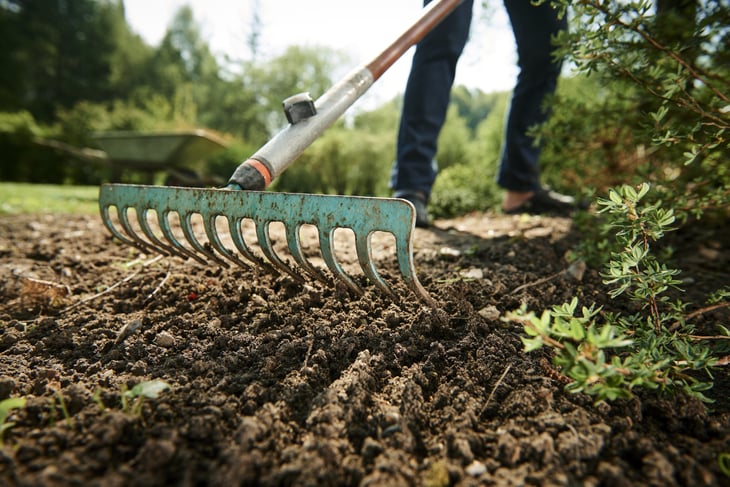 Gardener raking soil