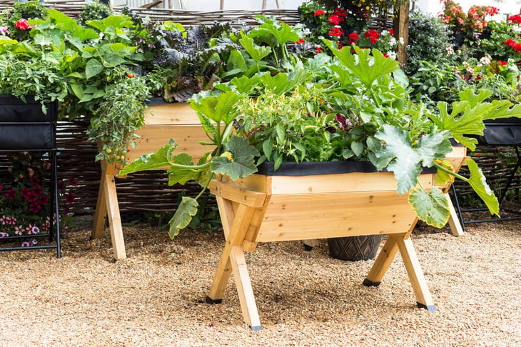 Raised garden bed table with vegetables