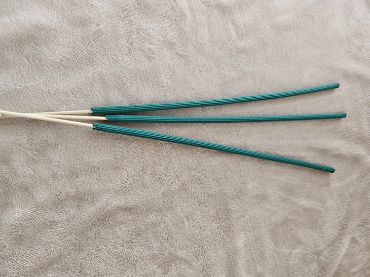 Citronella incense sticks from Dollar Tree