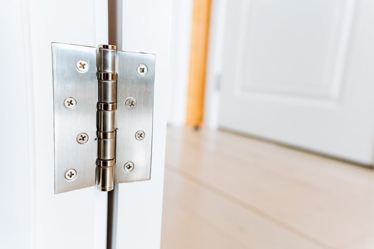A closeup view of a stainless steel door hinge on a white door