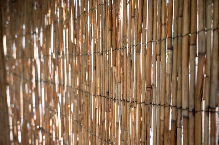 Bamboo fence