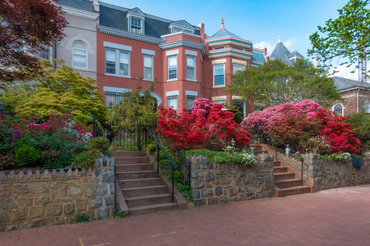 Colorful spring flowers in front of homes in a Washington D.C. neighborhood