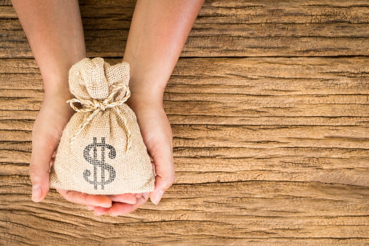 Female hands holding a money bag