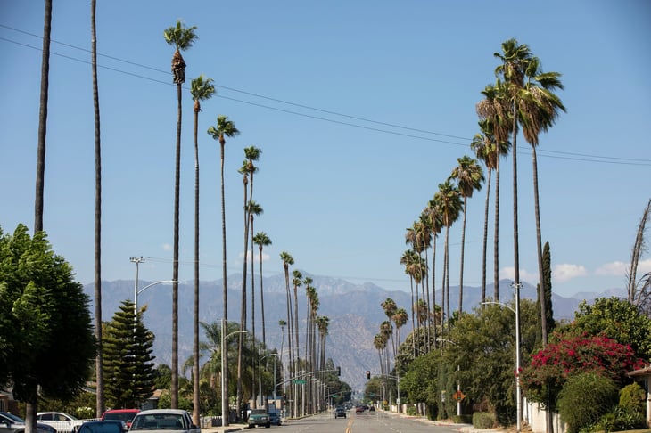 Palm trees frame a street in West Covina, California, USA.