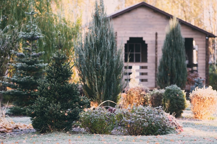 Lawn in the winter