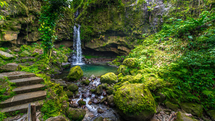 Emerald Pool on Dominica, Caribbean