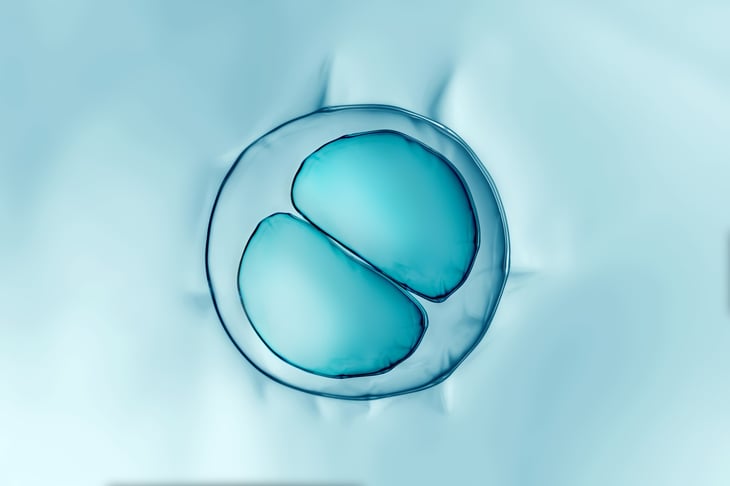 Cells