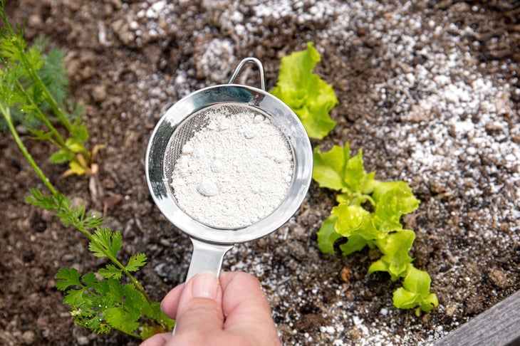 Diatomaceous powder