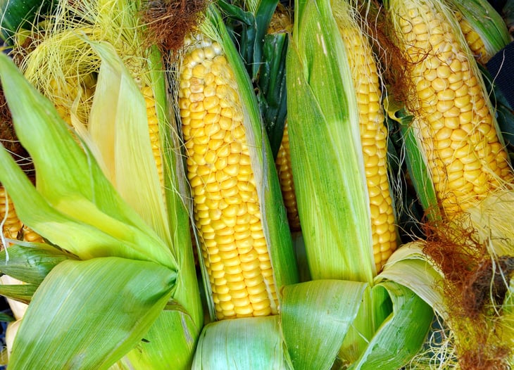 Yellow corn