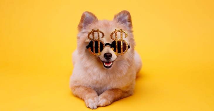 Dog with money glasses
