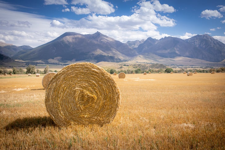Hay bale in a farm field in Wyoming. Mountains in the background.