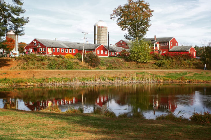 Red farm buildings in Massachusetts beside a pond.