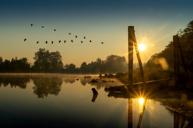 Summer sunrise over the Snohomish River in Lowell Park, Everett, Washington