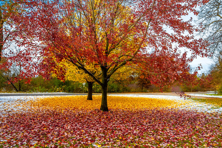 Blackhawk County Forest Preserve in Elgin, Illinois
