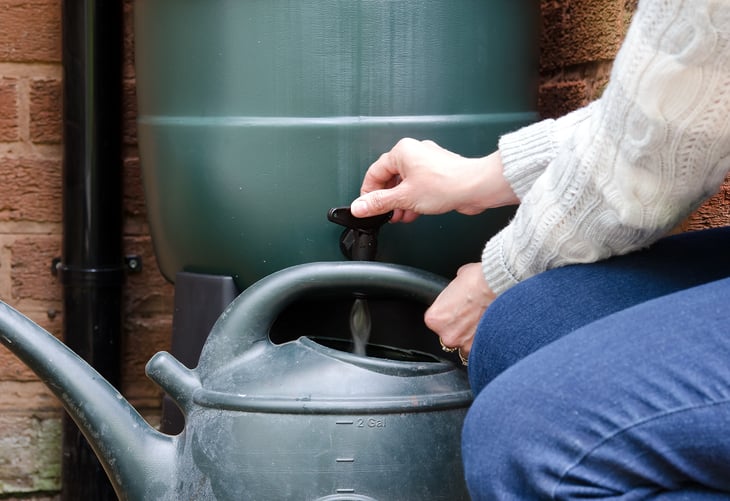 Woman using rain water to fill watering can