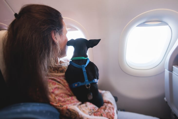 Woman with dog on a plane.