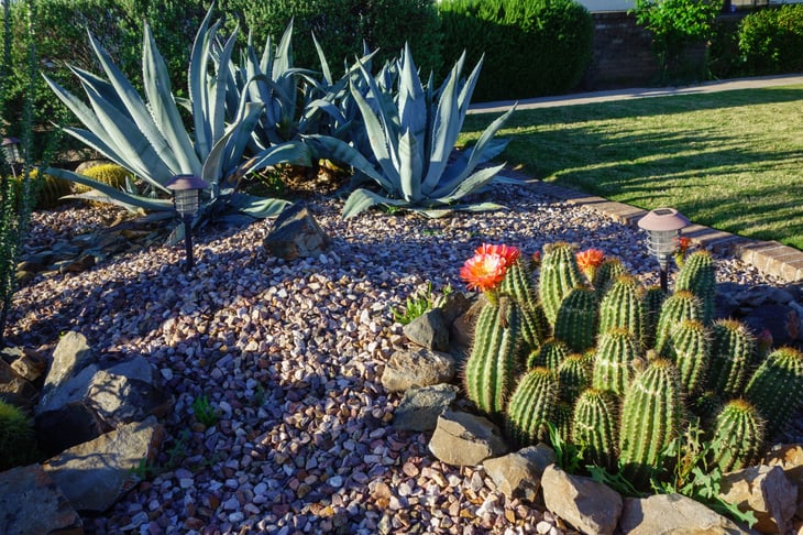 xeriscape xeriscaping