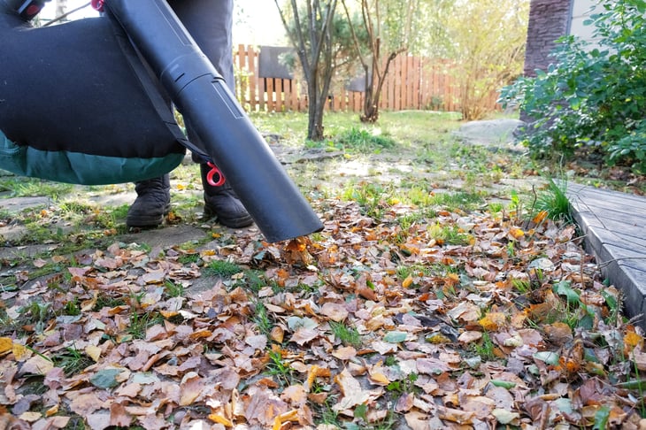 Leaf vacuum