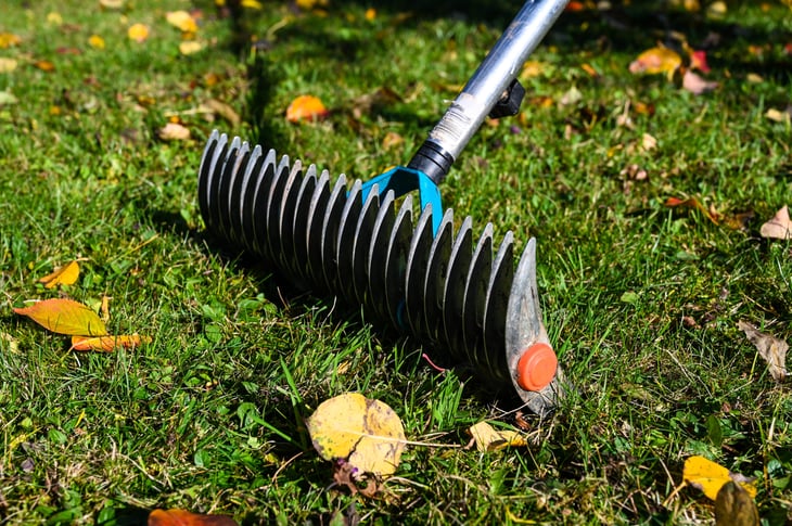 Lawn dethatcher