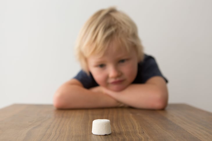 Marshmallow test delayed gratification