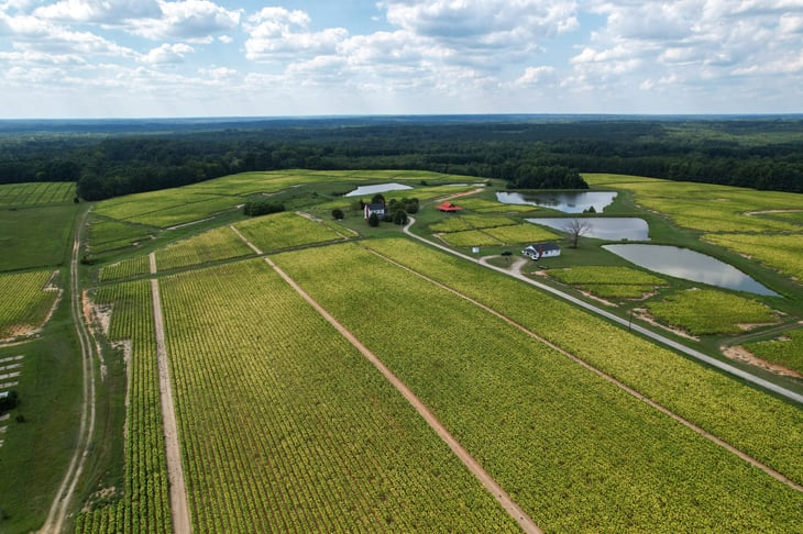 North Carolina Farm