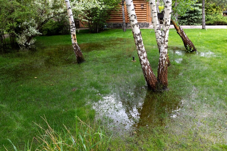 Flooded lawn