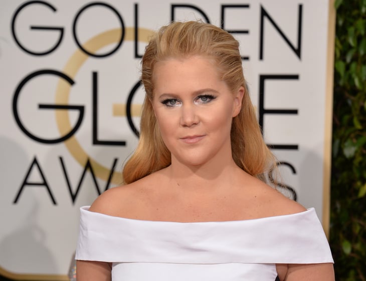 Amy Schumer / Photo by Featureflash Photo Agency / Shutterstock.com