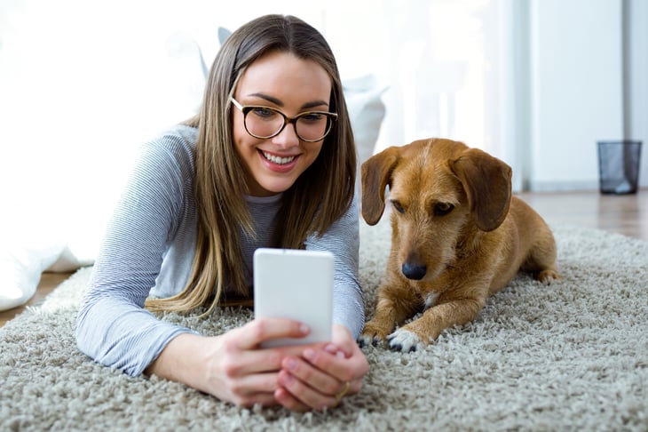 Skyping dog