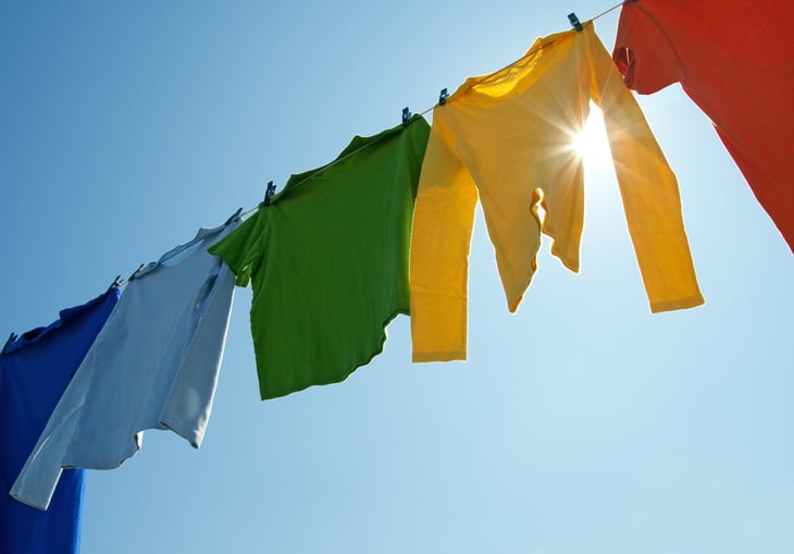 GoodMood Photos / Shutterstock.com