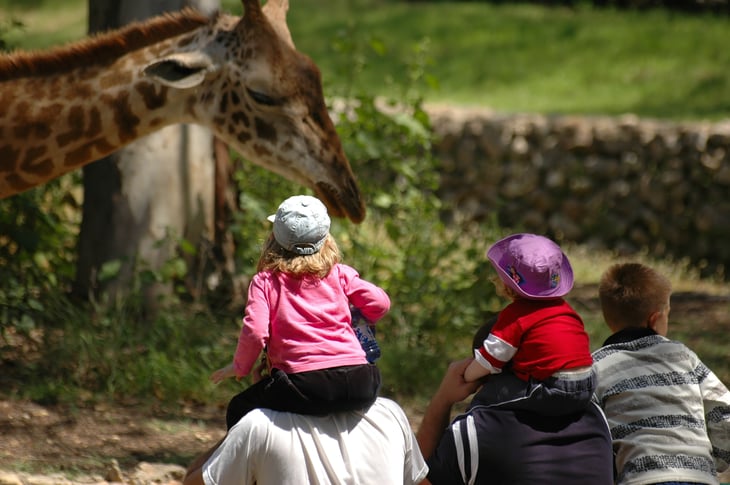 memberships to zoo