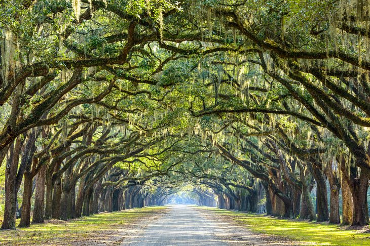Sean Pavone / Shutterstock.com