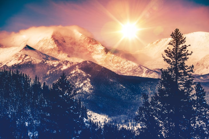 welcomia / Shutterstock.com