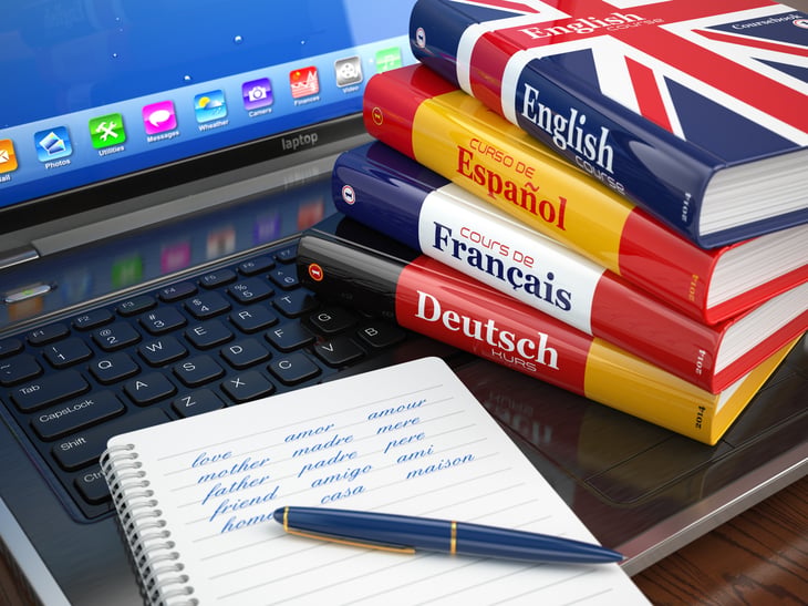 Foreign language study