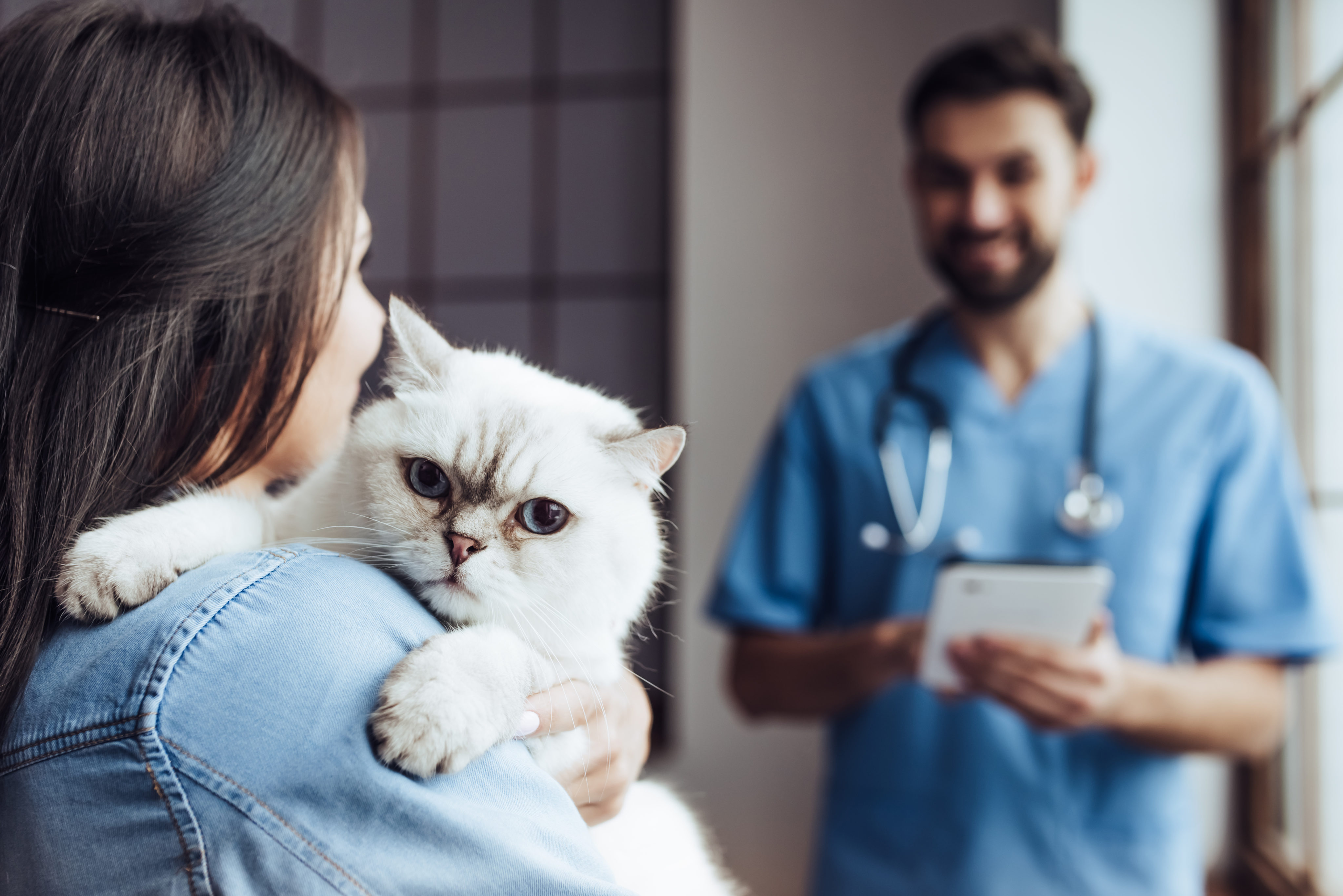 9 Ways to Get Cheap or Free Veterinary Care for Your Pet ...