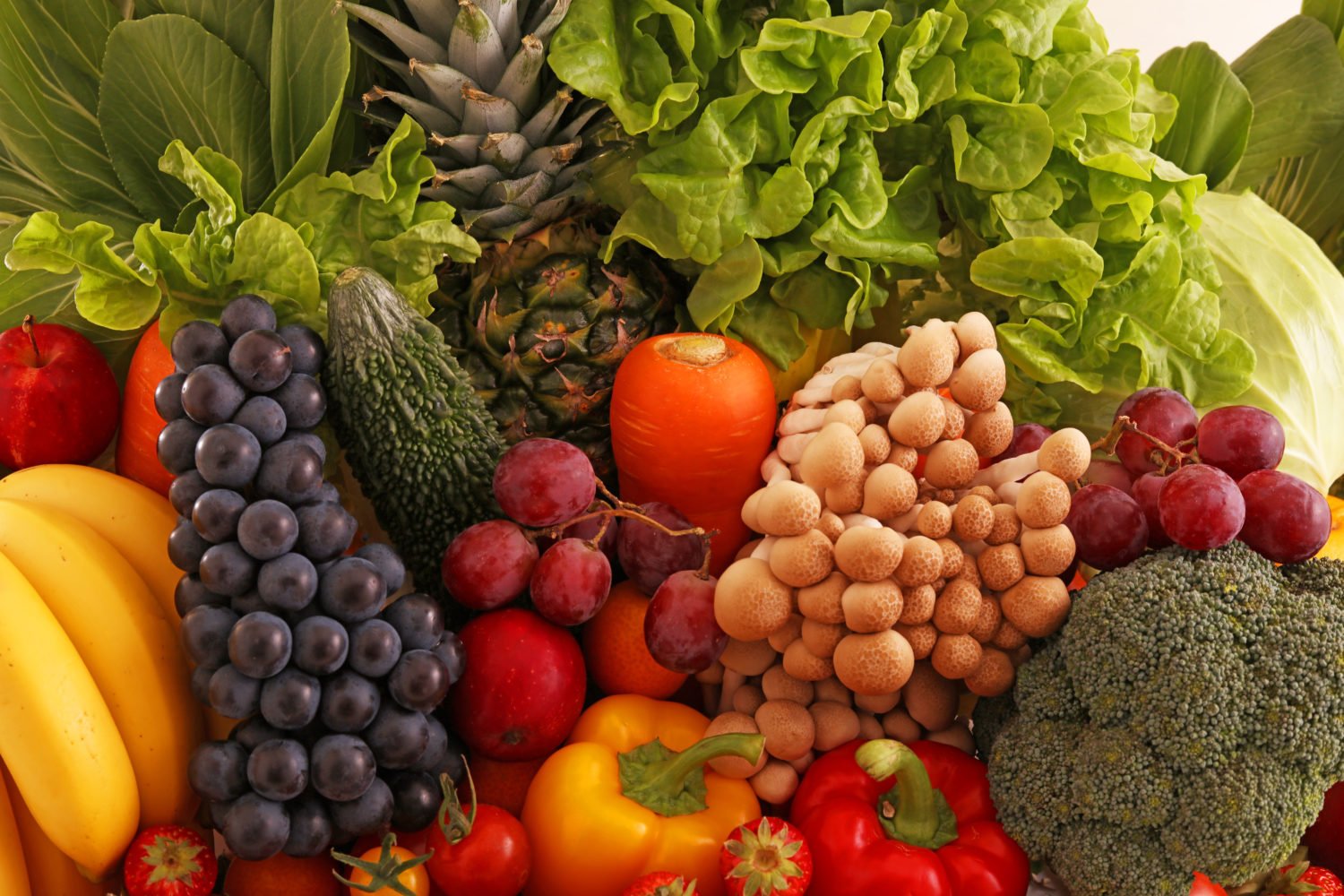 Alimentacion complementaria verduras